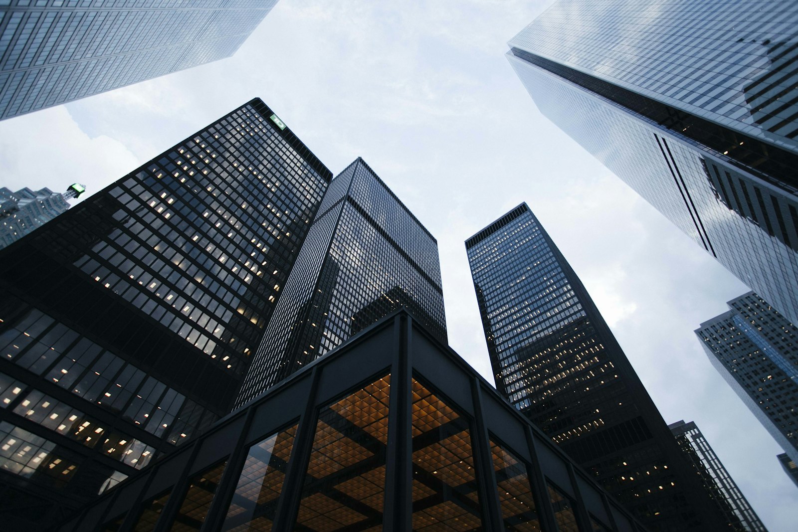 Glass-fronted commercial buildings viewed from street level
