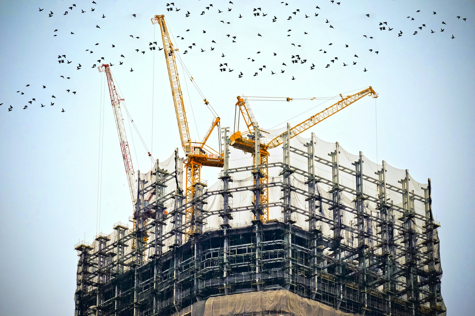 Cranes working above a high-rise structure wrapped in scaffolding